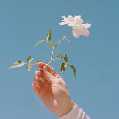 糖糖时尚屋会员版下载