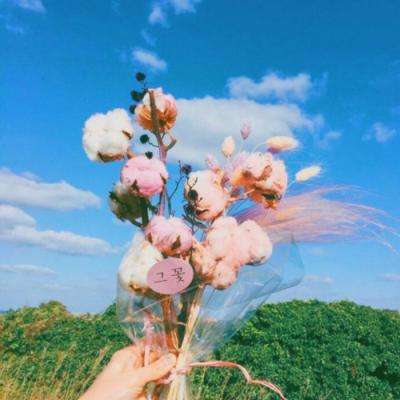塔防三国蜀汉志游戏
